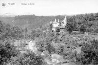 carte postale ancienne de Houyet Château de Celles