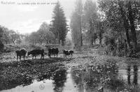 carte postale ancienne de Rochefort La Lomme près du pont en pierre