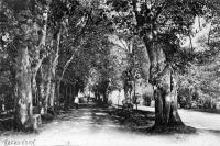 carte postale ancienne de Rochefort Allée de Lorette