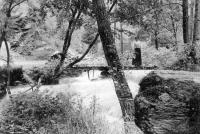 carte postale ancienne de Vresse-sur-Semois Ruisseau du Petit Fays