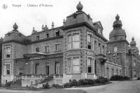 carte postale ancienne de Houyet Château d'Ardenne