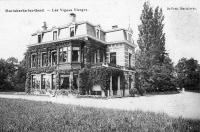 carte postale ancienne de Mariakerke-lez-Gand Les vignes vierges