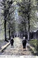 carte postale ancienne de Zottegem Drève du parc de l'Ermitage