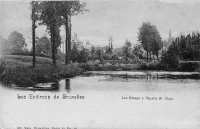 carte postale ancienne de Capelle-St-Ulric Les Etangs
