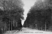 carte postale ancienne de Overijse Notre-Dame au bois Chaussée de Bruxelles