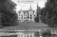 carte postale ancienne de Brussegem Château de Wolvendael