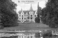 postkaart van Brussegem Château de Wolvendael