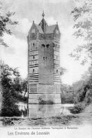 carte postale ancienne de Rotselaar Le donjon de l'ancien château Terheyden à Rotselaer