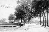 carte postale ancienne de Tirlemont Bost - chaussée de Huy