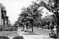 carte postale ancienne de Wemmel Avenue Limburg Stirum