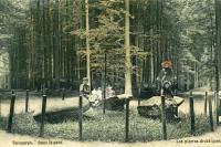 carte postale ancienne de Tervueren Les pierres druidiques