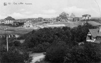 carte postale ancienne de Le Coq Panorama