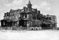 carte postale ancienne de Knokke Villas sur l'avenue Lippens