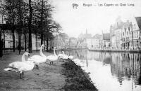 carte postale ancienne de Bruges Les Cygnes au Quai Long
