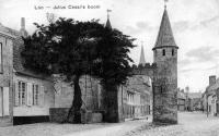 carte postale ancienne de Lo Arbre de Jules César