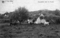 carte postale ancienne de Le Coq Chaumières dans les dunes