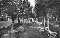 carte postale ancienne de Le Zoute Avenue du zoute