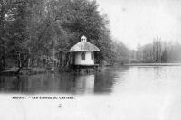 carte postale ancienne de Ardoye Les étangs du château