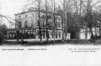 carte postale ancienne de Saint-André Château les Cèdres