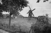 carte postale ancienne de Le Coq Le Moulin