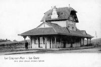 postkaart van De Haan La Gare