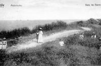 carte postale ancienne de Middelkerke Dans les dunes