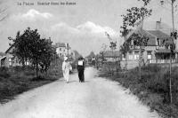 carte postale ancienne de La Panne Sentier dans les dunes