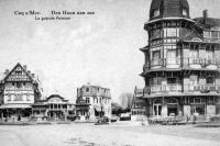 carte postale ancienne de Le Coq La grande Avenue carte postale ancienne de Le Coq La grande Avenue