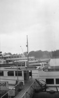 Allemagne Bateaux-touristes sur le Rhin - embarcadère pour Mehlem(Bonn)