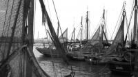 Nieuport Bateaux de pêche - le Hepwic à quai.