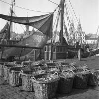 Ostende Déchargement du poisson