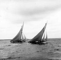  Regates op de Schelde