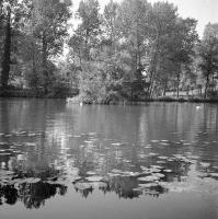 Rouge-Cloître Vue sur un des étangs