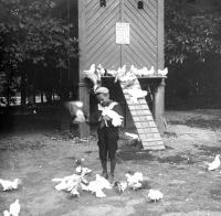 Bruxelles  Les pigeons viennent manger dans la main. Le paquet de graines 10 centimes.