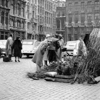 Bruxelles Marché aux fleurs à la Grand Place