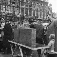 Bruxelles Marché aux oiseaux à la Grand Place