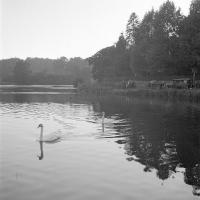 Watermael-Boitsfort Promenade autour des étangs