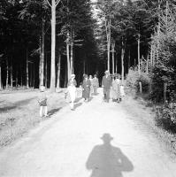  A l'orée de la forêt de Soignes près de la rue Nisard