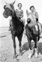  Tour à cheval sur la plage