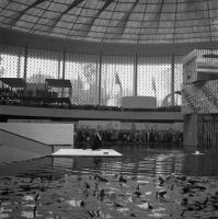 Expo58 Bruxelles Défilé de mode dans le pavillon américain