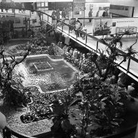 Expo58  Paviljoen van Brasil. de exotische tuin