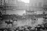 Place Rogier Le cortège de l'ommegang sous la pluie