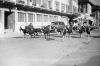 Lenzerheide (Suisse ) Un troupeau et une belle auto ancienne devant l'hôtel-restaurant Schweizerhof des Grisons.