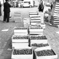 Bruxelles Vente de la production de fraises d'August Meert