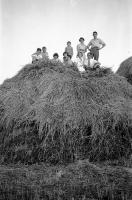  Après la moisson, la famille sur la paille...