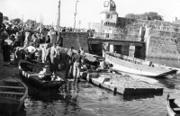 Concarneau Déchargement de la pêche