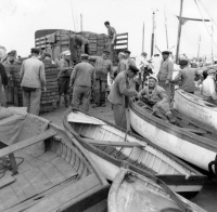 Douarnenez Arrivée de la pêche