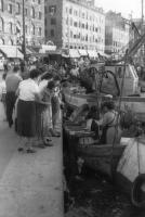 Marseille&nbsp;Visverkopers verkopen hun vis - Marseille vieux port