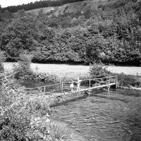 Belvaux Pont de bois sur la rivière
