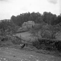 Belvaux Jardin arrière maison rue des Pairées 